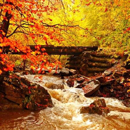Πινακας σε καμβά AUTUMN RIVER - Λιμνες - Ποταμια Sticky 5
