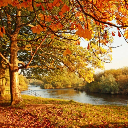 Πινακας σε καμβά BEAUTIFUL FALL PARK - Λιμνες - Ποταμια Sticky 5