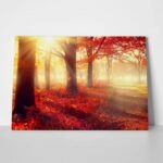 Πινακας σε καμβά BEAUTIFUL AUTUMN PARK