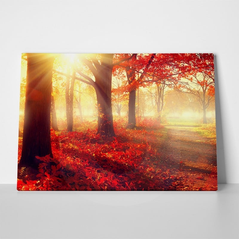 Πινακας σε καμβά BEAUTIFUL AUTUMN PARK