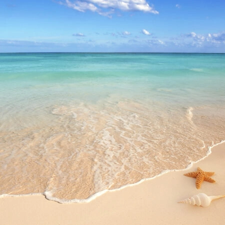 Πινακας σε καμβά CARIBBEAN BEACH - Παραλιες Sticky 5