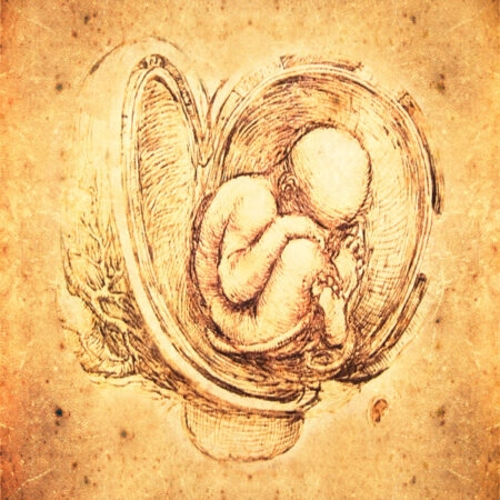 Πινακας σε καμβά DA VINCI - STYLE FETUS - Leonardo Da Vinci Sticky 4