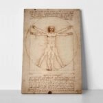 Πινακας σε καμβά DA VINCI - VITRUVIAN MAN