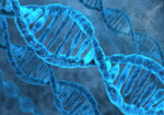 Πινακας σε καμβά DNA