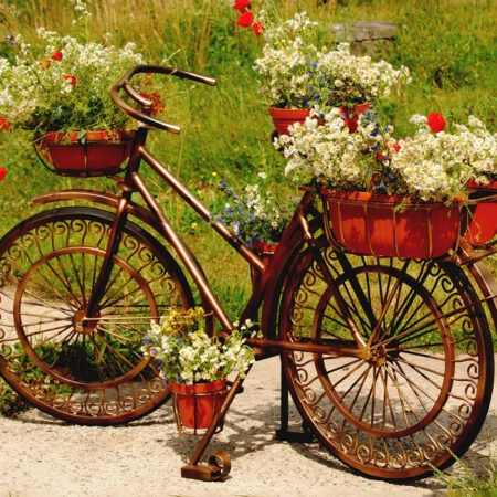 Πινακας σε καμβά FLOWERS BIKE - Ποδηλατα Sticky 6
