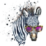 Πίνακας σε καμβά FUNNY ZEBRA SPLASH