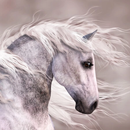 Πινακας σε καμβά GREY HORSE DIGITAL PAINT - Αλογα Sticky 4