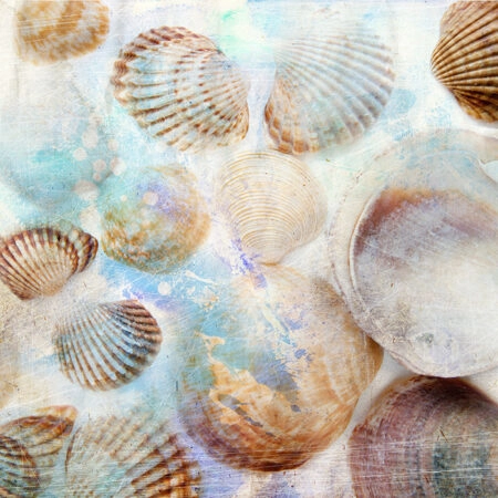 Πινακας σε καμβά GRUNGE SHELLS - Πινακες σε καμβα Sticky 5