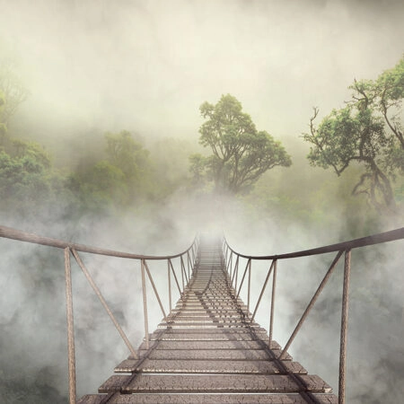 Πινακας σε καμβά JUNGLE BRIDGE - Δασος Sticky 5