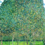 Πινακας σε καμβα KLIMT - PEAR TREES