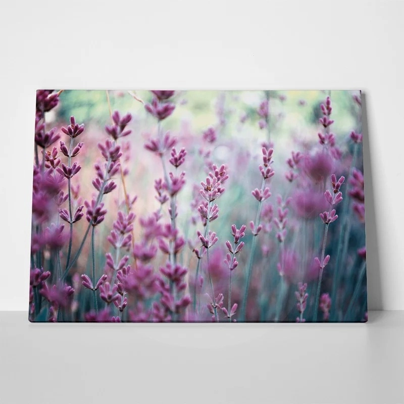 Πινακας σε καμβά LAVENDER