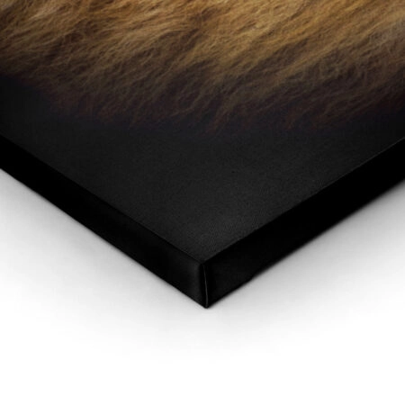 Πινακας σε καμβά LION PORTRAIT - Ζωα Sticky 2