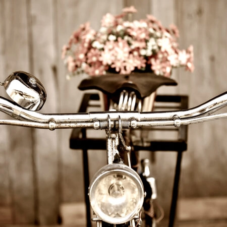 Πινακας σε καμβά LOVE BIKE - Ποδηλατα Sticky 5