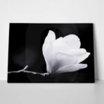 Πινακας σε καμβά MAGNOLIA