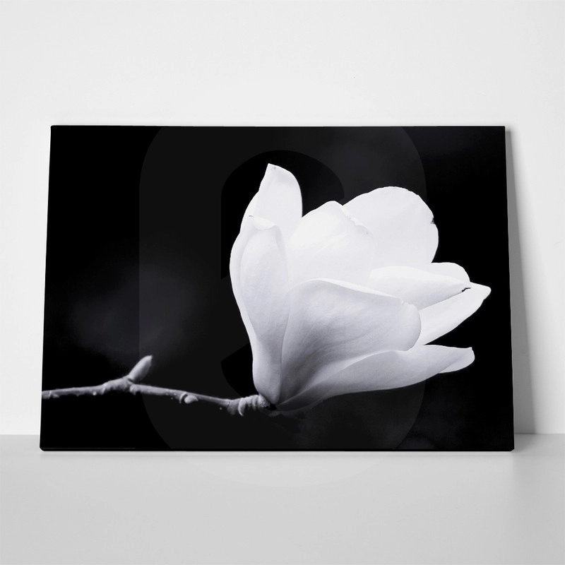 Πινακας σε καμβά MAGNOLIA