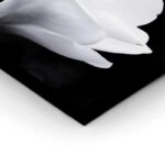 Πινακας σε καμβά MAGNOLIA