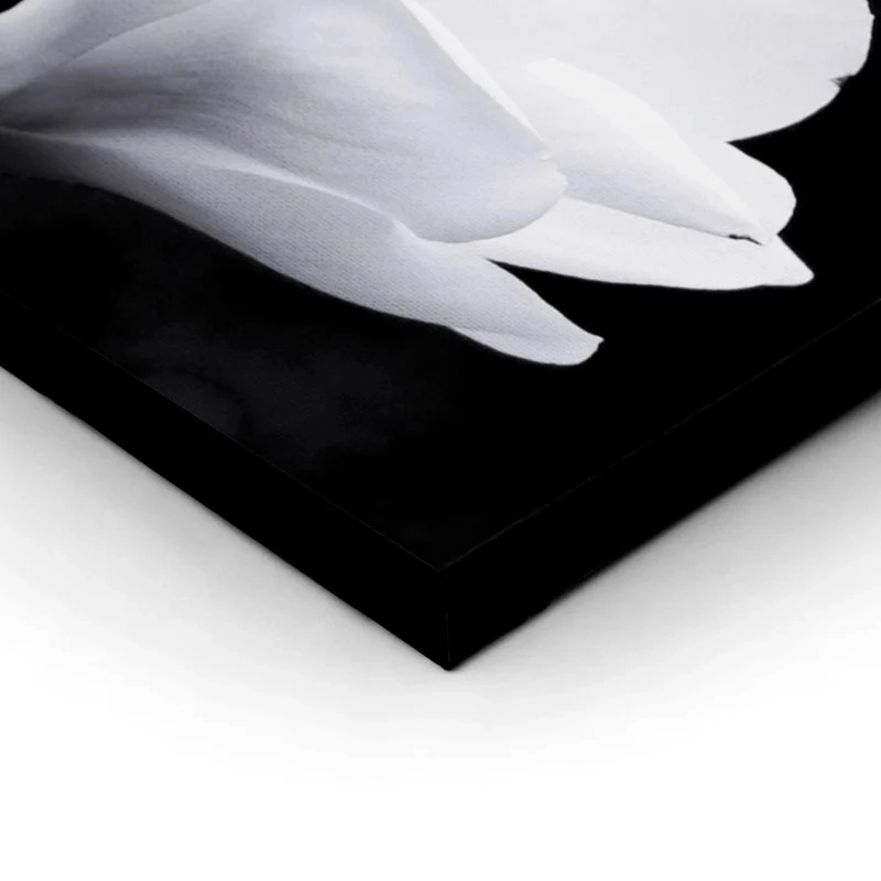 Πινακας σε καμβά MAGNOLIA
