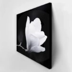 Πινακας σε καμβά MAGNOLIA