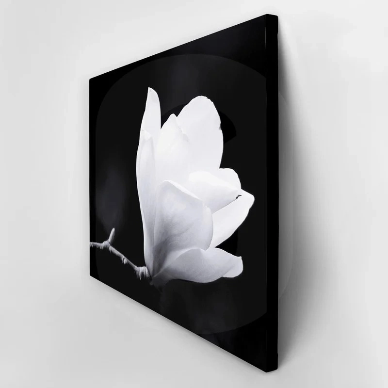 Πινακας σε καμβά MAGNOLIA