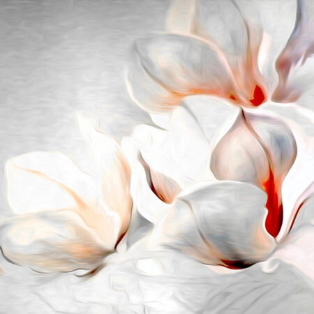 Πινακας σε καμβά MONOCHROME MAGNOLIAS - Μανολιες Sticky 5