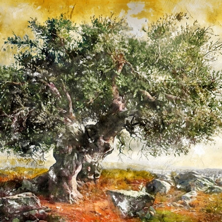 Πινακας σε καμβά OLIVE TREE PAINTING - Πινακες σε καμβα Sticky 5