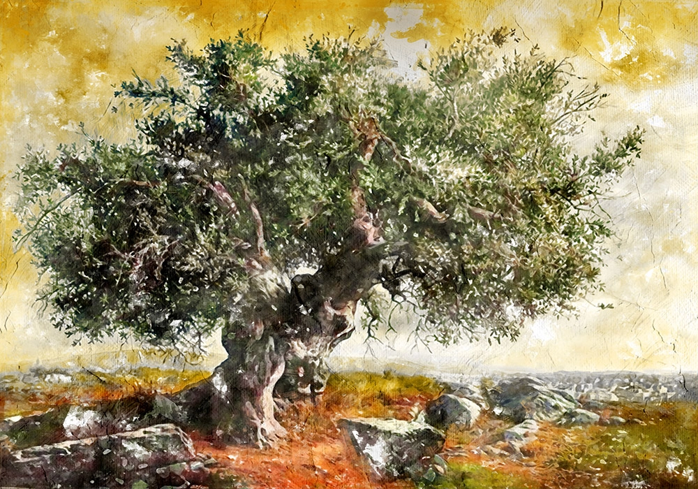 Πινακας σε καμβά OLIVE TREE PAINTING