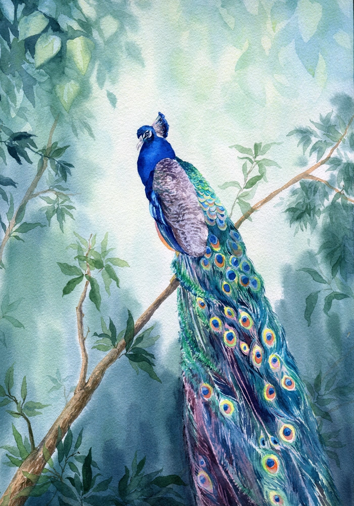 Πινακας σε καμβά PEACOCK PAINTING 2