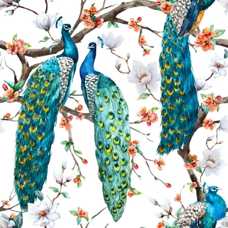 Πινακας σε καμβά PEACOCKS - Πουλια Sticky 4