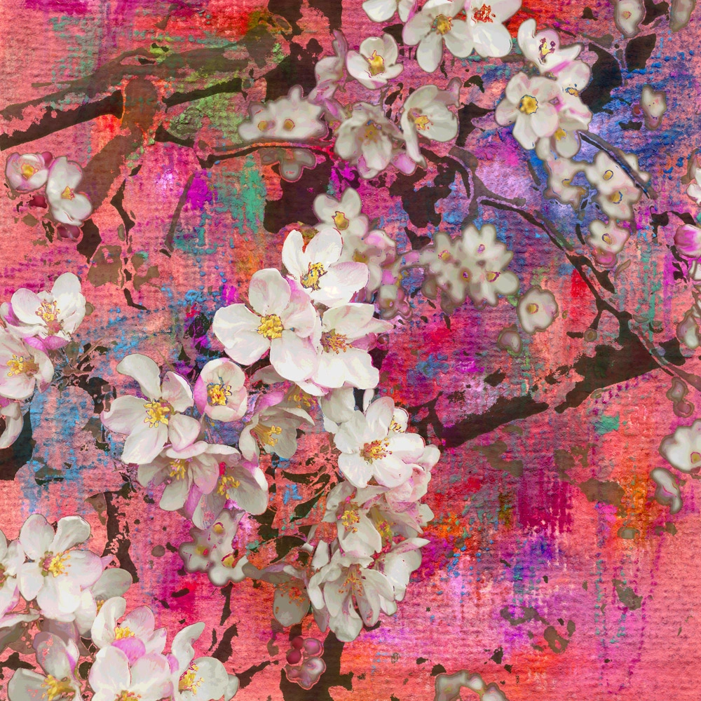 Πίνακας Τετράγωνος PINK BLOSSOMING APPLE