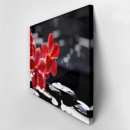 Πινακας σε καμβά RED ORCHID - Ορχιδεες Sticky 3