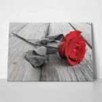 Πινακας σε καμβά Πίνακας RED ROSE
