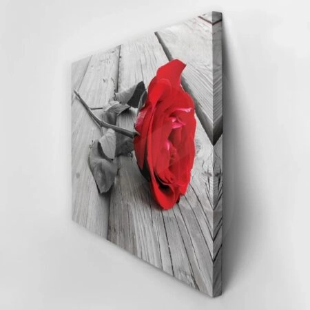 Πινακας σε καμβά Πίνακας RED ROSE - Τριανταφυλλα Sticky 3