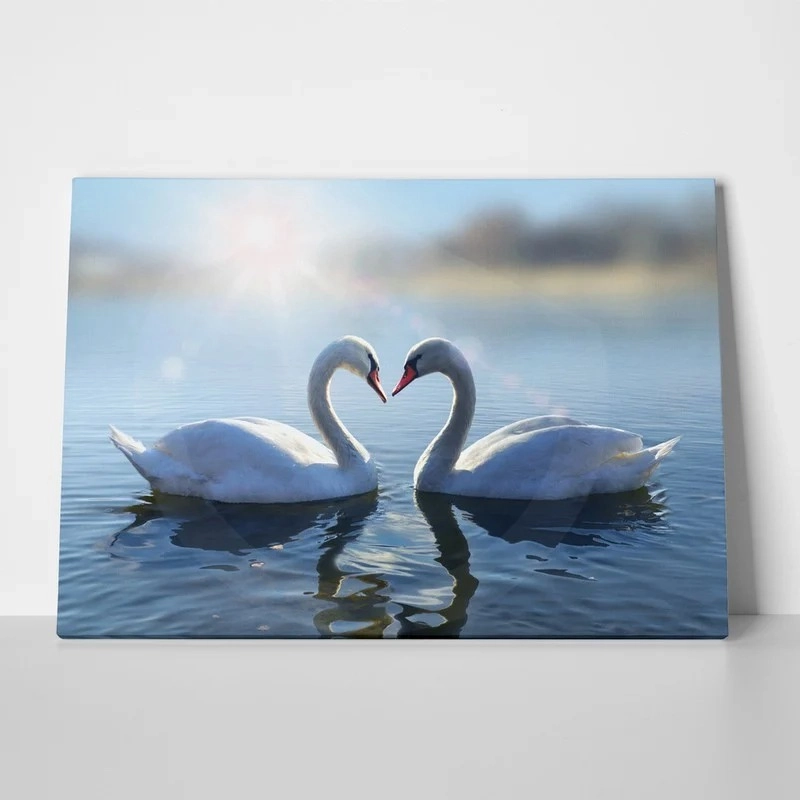 Πινακας σε καμβά ROMANTIC SWANS