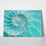Πινακας σε καμβά SEA SHELL