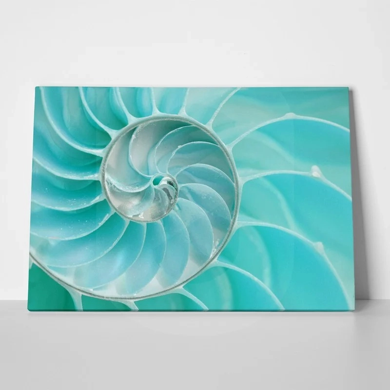 Πινακας σε καμβά SEA SHELL