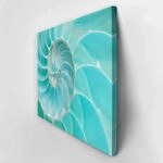 Πινακας σε καμβά SEA SHELL