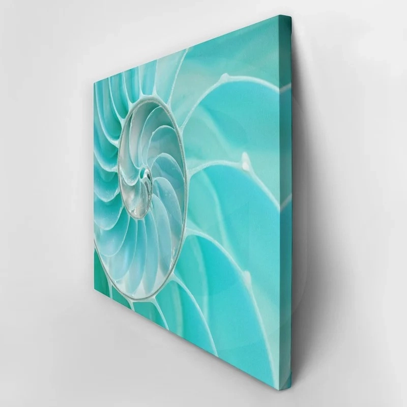 Πινακας σε καμβά SEA SHELL