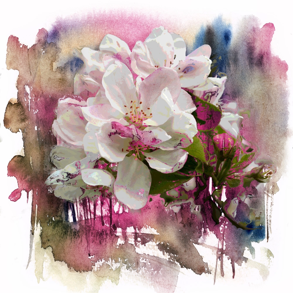 Πίνακας Τετράγωνος SPRING FLOWERS PINΚ