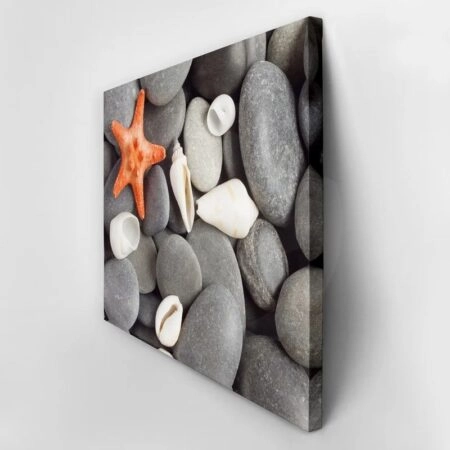 Πινακας σε καμβά STARFISH 2 - Κοχυλια Sticky 3