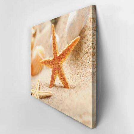 Πινακας σε καμβά STARFISH 1 - Κοχυλια Sticky 3