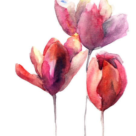 Πινακας σε καμβά TULIPS FLOWERS WATERCOLOR - Τουλιπες Sticky 5