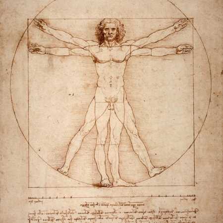 Πινακας σε καμβά DA VINCI - VITRUVIAN MAN - Leonardo Da Vinci Sticky 5