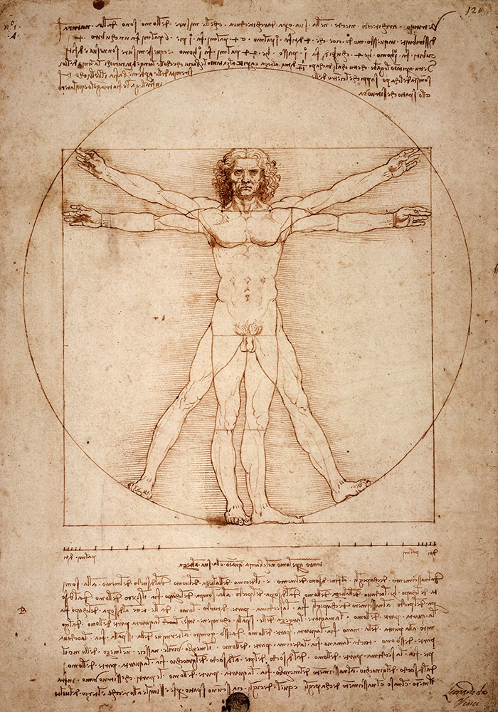 Πινακας σε καμβά DA VINCI - VITRUVIAN MAN