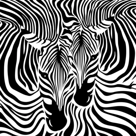 Πίνακας σε καμβά ZEBRA COUPLE BACKGROUND - Ζεμπρες Sticky 4