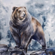 bears