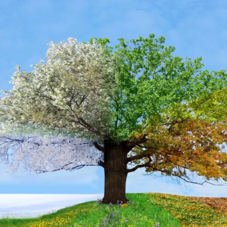 Πινακας σε καμβά 4 SEASONS TREE - Ουρανος - Καιρικα φαινομενα Sticky 4