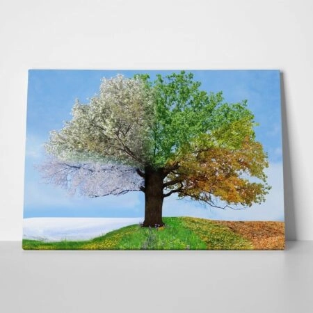 Πινακας σε καμβά 4 SEASONS TREE