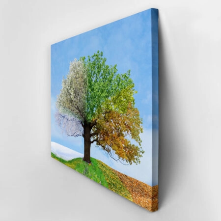 Πινακας σε καμβά 4 SEASONS TREE - Ουρανος - Καιρικα φαινομενα Sticky 2