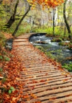 Πινακας σε καμβά AUTUMN COLOURS