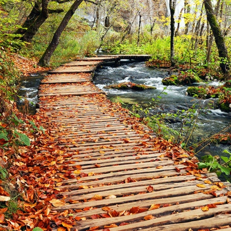 Πινακας σε καμβά AUTUMN COLOURS - Λιμνες - Ποταμια Sticky 4